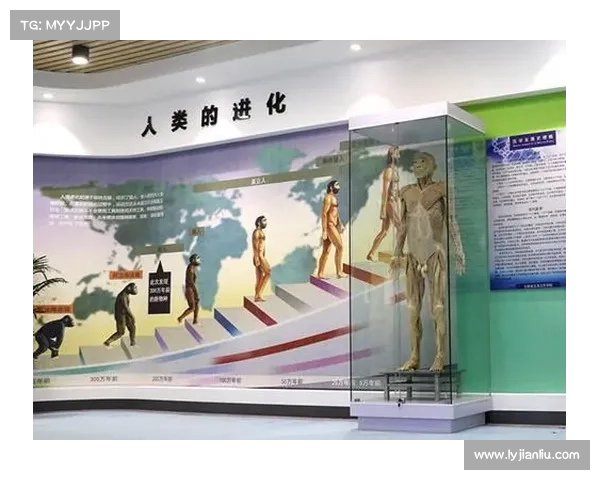 强效位面精华的奥秘揭秘与实战技巧深度探索