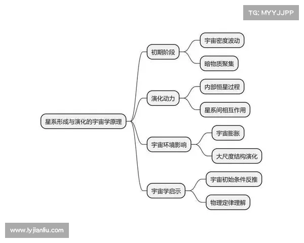 从多维度分析星系演化与形成机制的复杂性及其演变过程