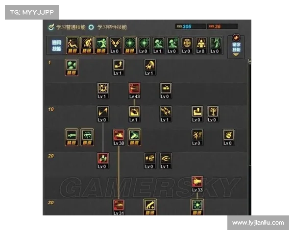 女大枪角色加点最佳技能搭配全面解析与实战推荐