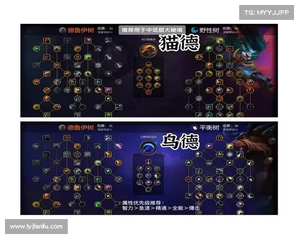 如何高效优化魔兽世界德鲁伊技能提升战斗力技巧